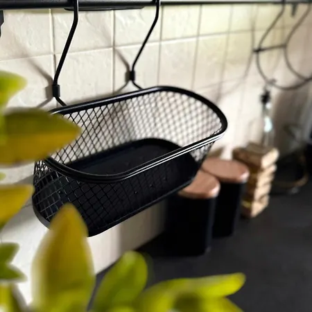 House Of Nature * Radawka