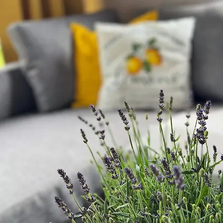 House Of Nature Ferienhaus *